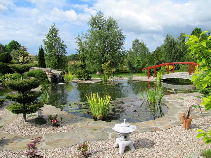 rock garden with a pond water feature