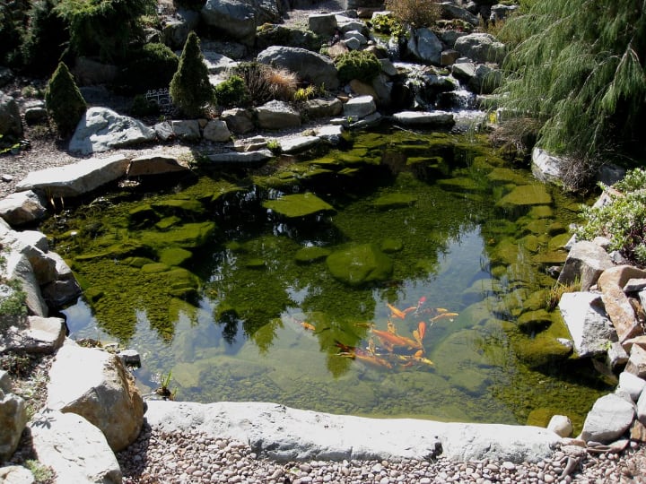 rock garden with pond