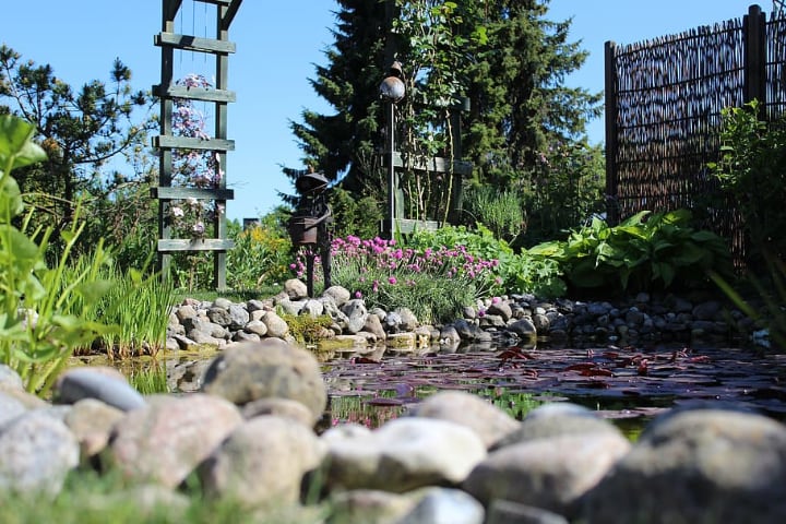 rocks on a garden with pond