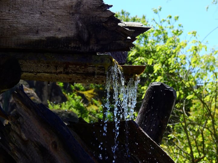 store rain water for plants and reserves