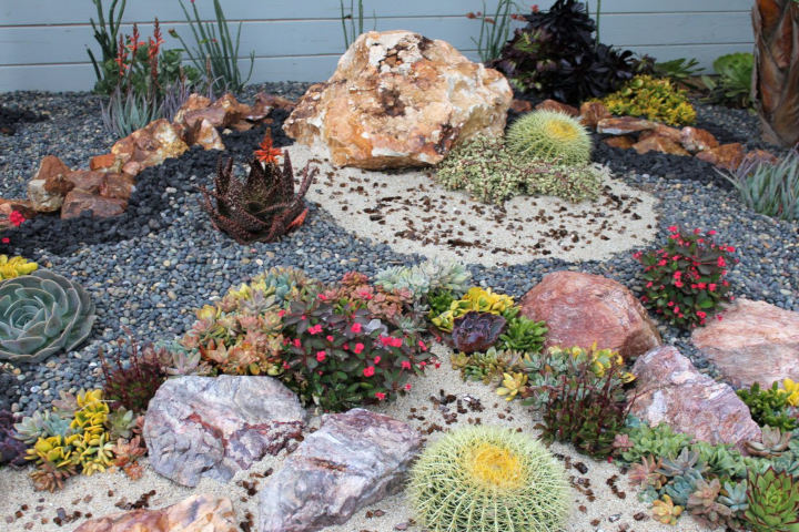 succulent garden with rocks