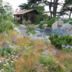 swiss alpine rock garden