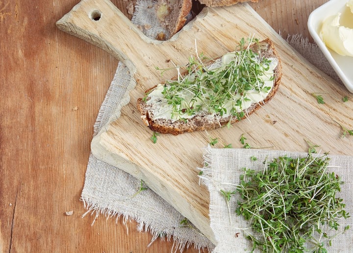 toast with microgreens