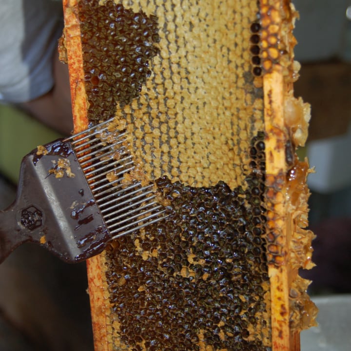 uncapping the honeycomb