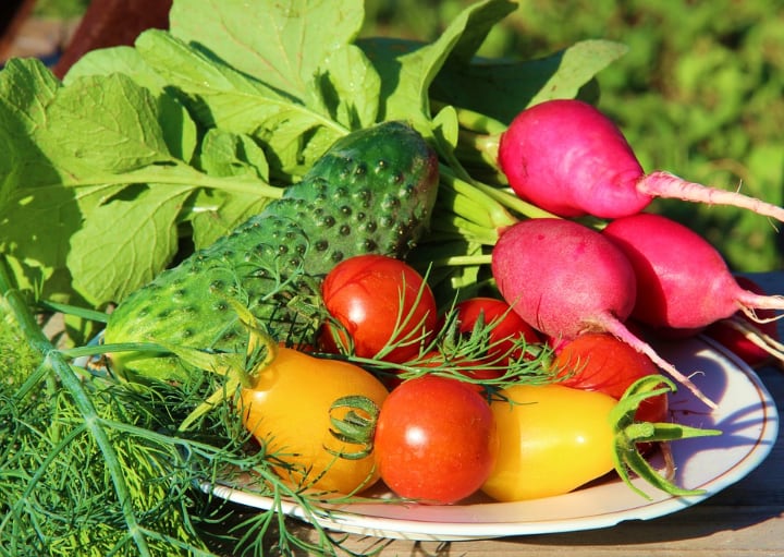 vegetables for rabbits