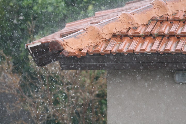 water catchment from living roof