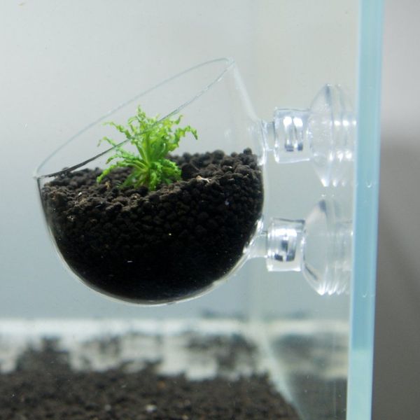 aquarium plants plastic