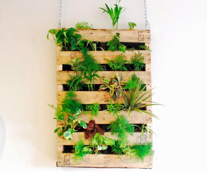 building a plant wall