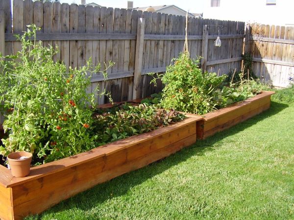 garden plant stand