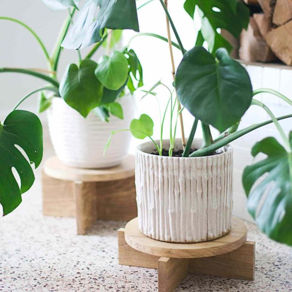 plant stand for indoors