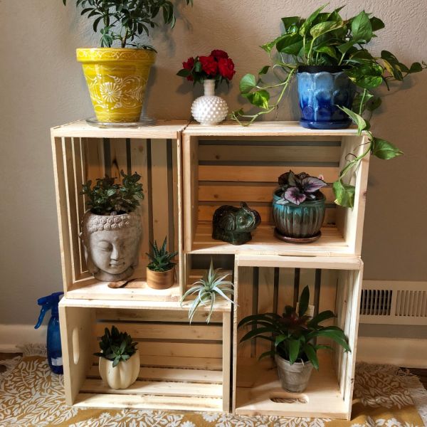 plant stand indoor
