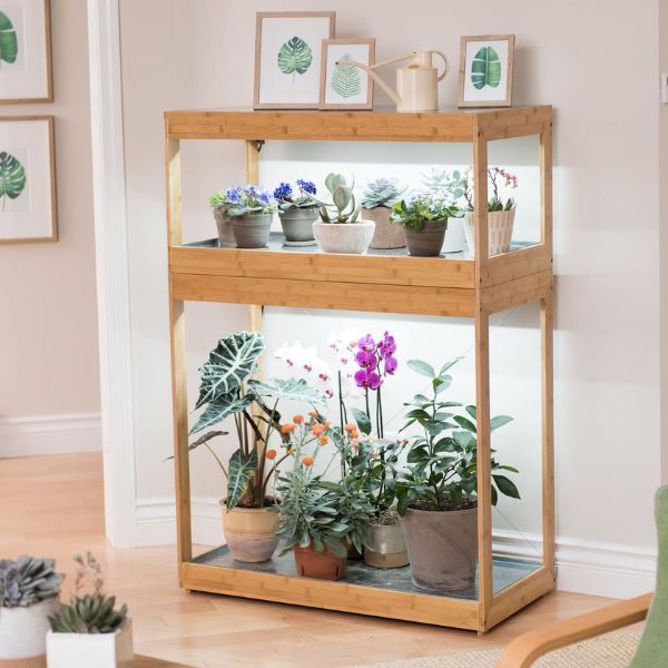 plant stand with light