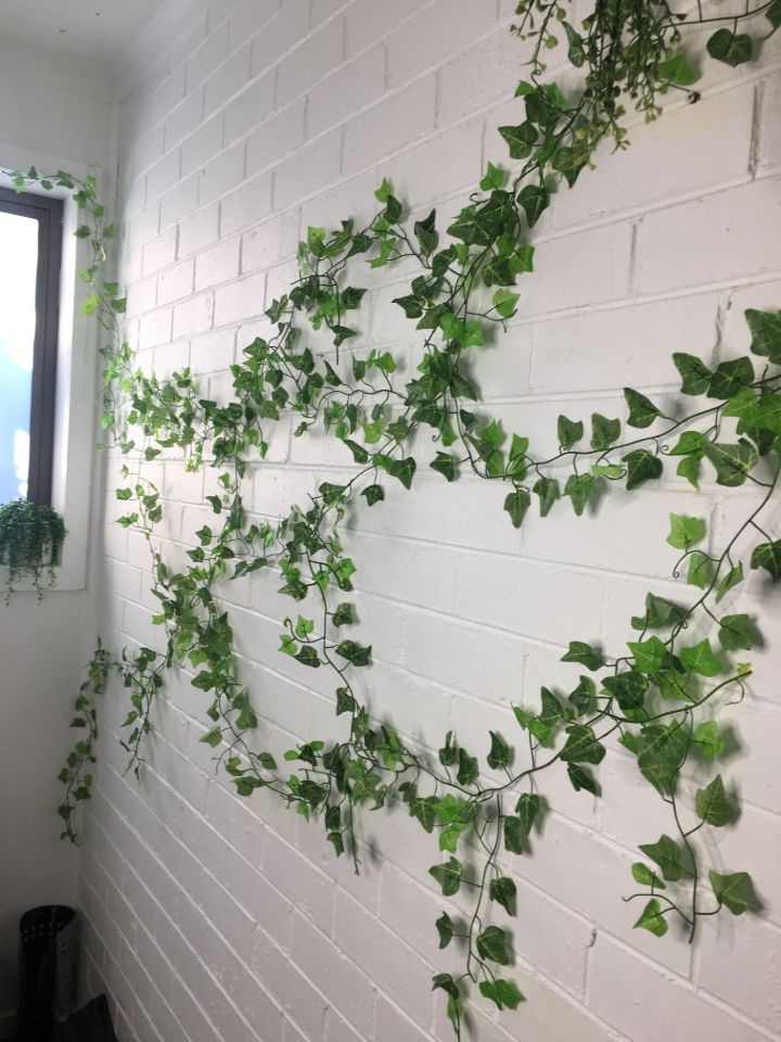 plant wall covering