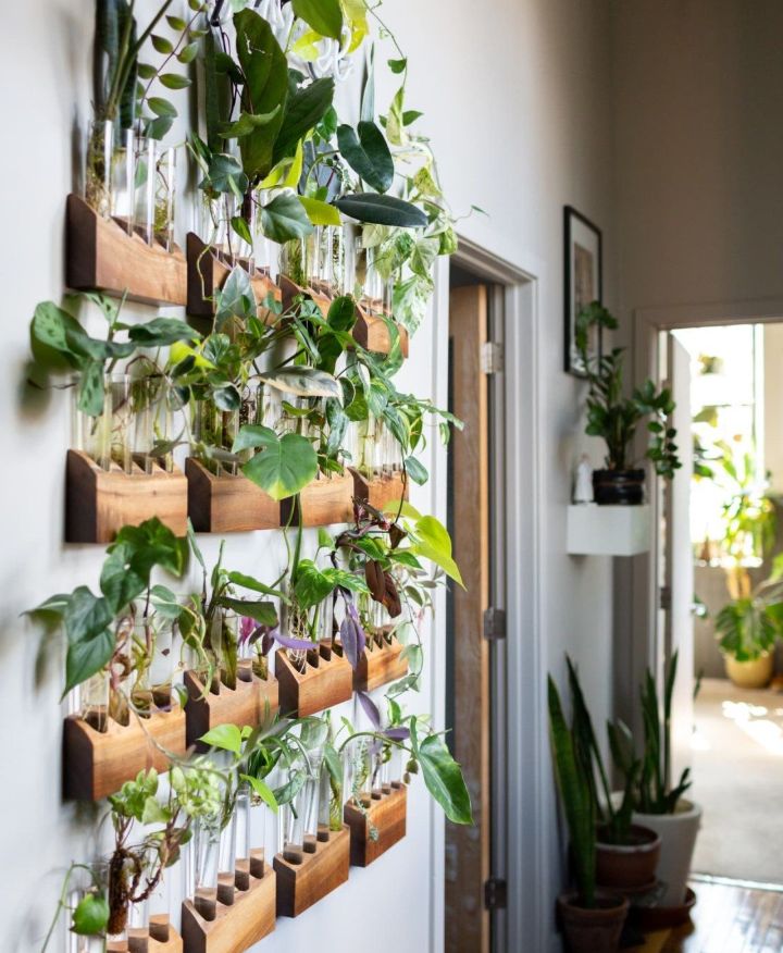 plant wall decor