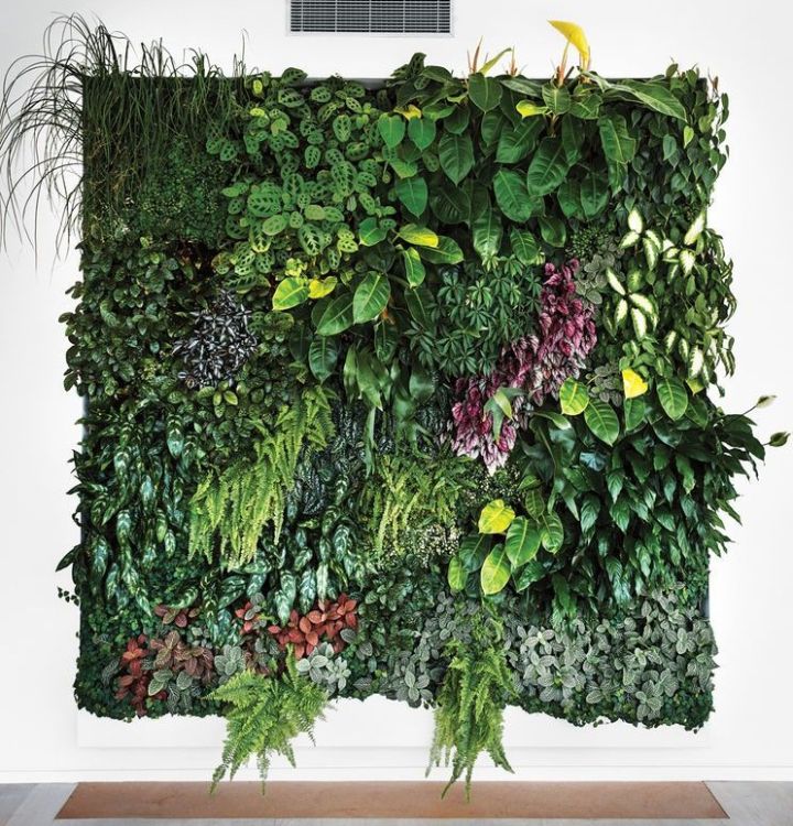 plant wall design