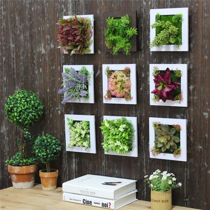 plant wall frame