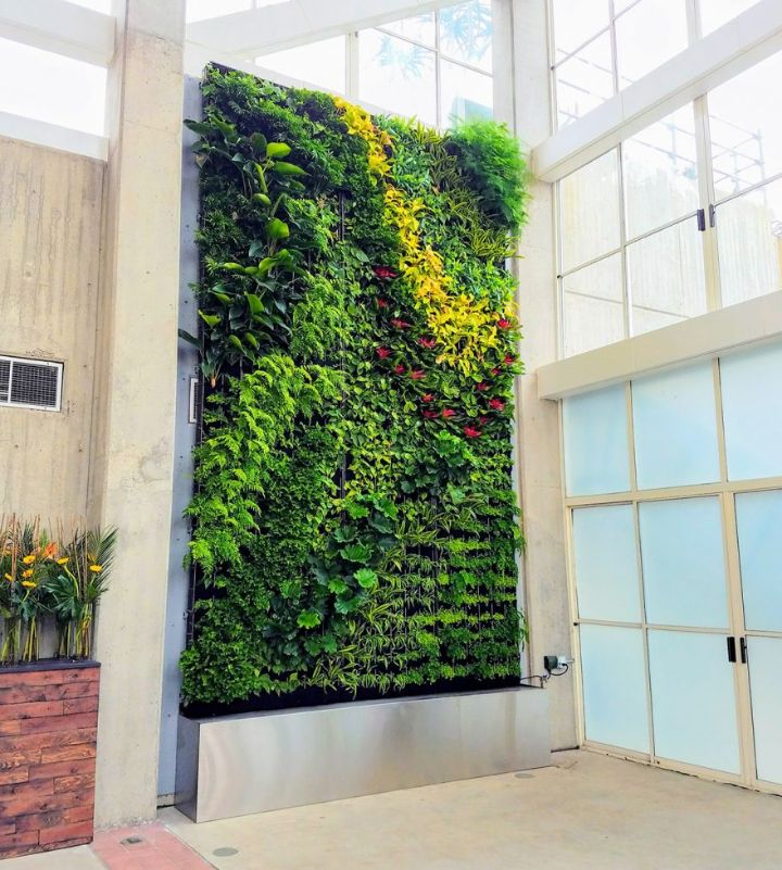 plant wall grid