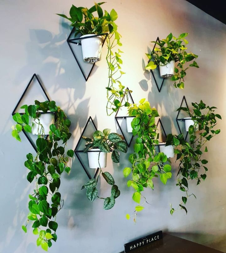 41 Awesome Plant  Wall Ideas  How to Build a DIY Plant  Wall