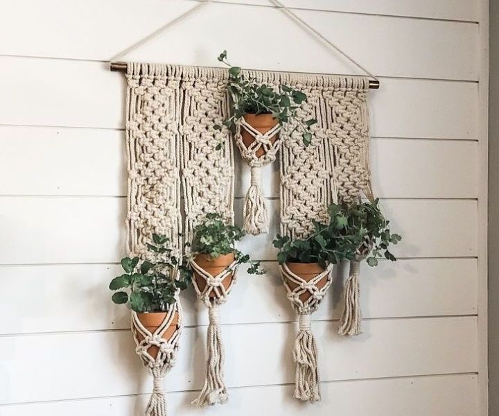 kitchen plant wall hanger