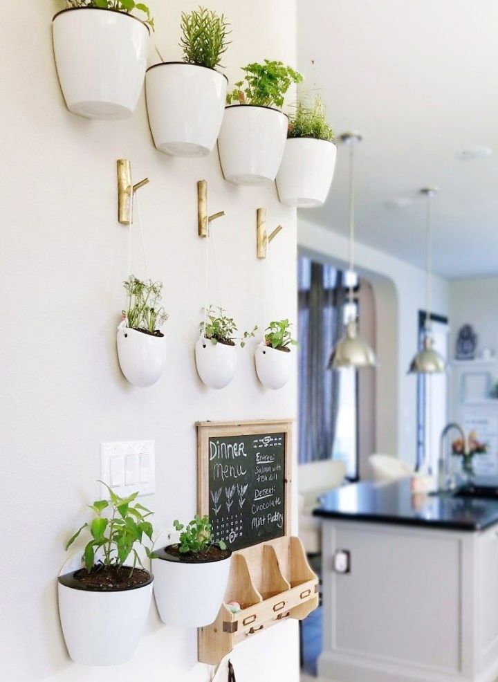 plant wall kitchen