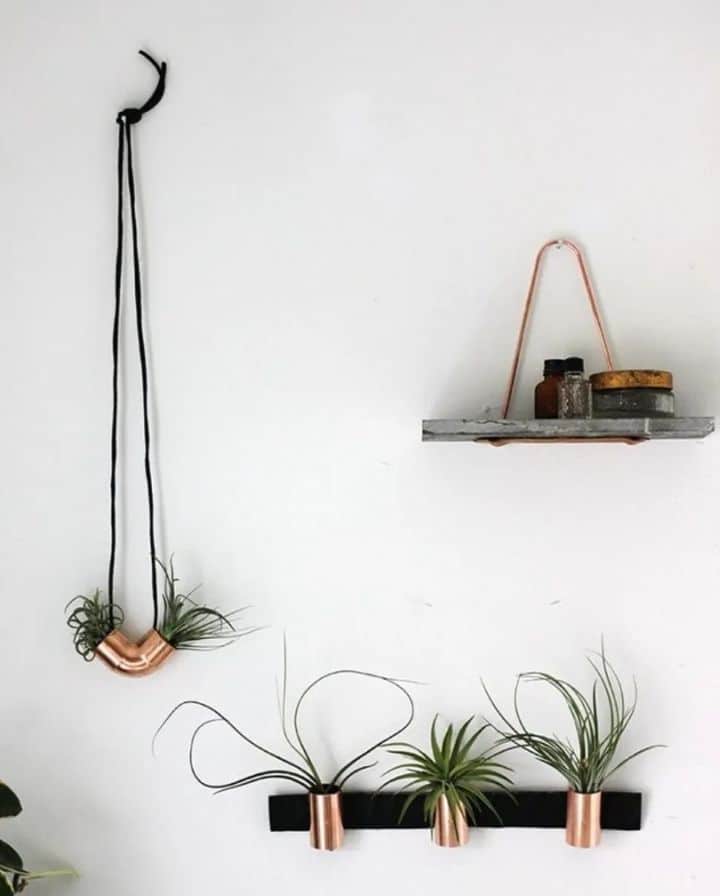 plant wall planters