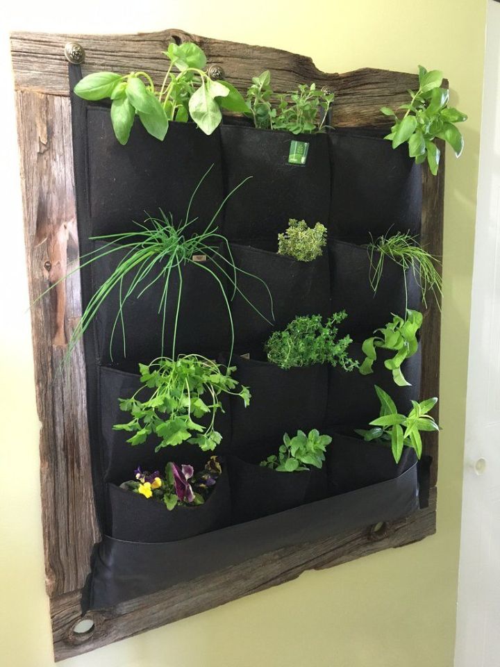 plant wall pockets