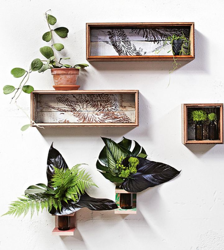 plant wall shelf ideas