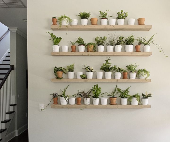 plant wall shelf