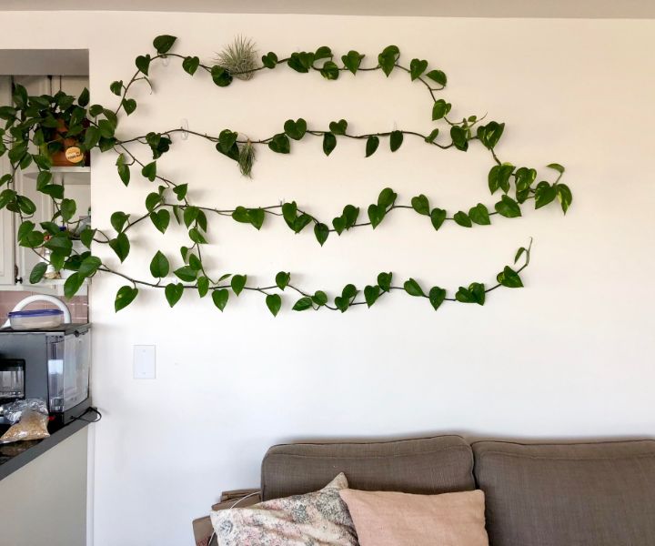 plant wall system