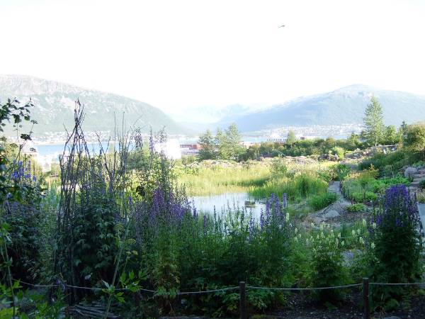 tromoso artic alpine botanic garden