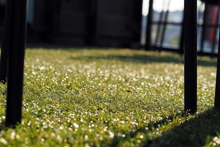 artificial grass on a sunny day