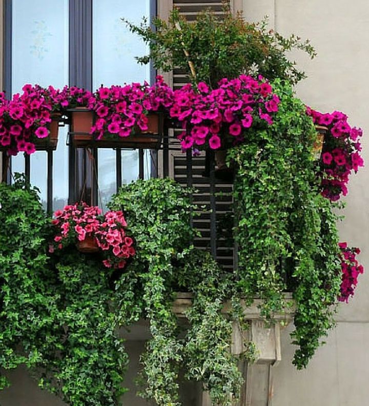 balcony garden box - Excelentes ideas para jardines en balcón