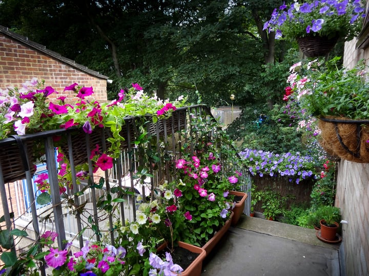 balcony garden filled with flowers