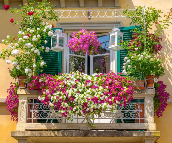 balcony garden flowers - Excelentes ideas para jardines en balcón