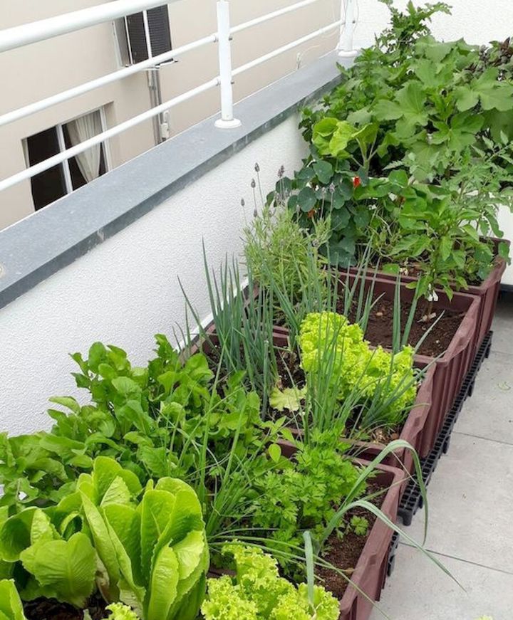 balcón jardín ideas verduras - Excelentes ideas para jardines en balcón