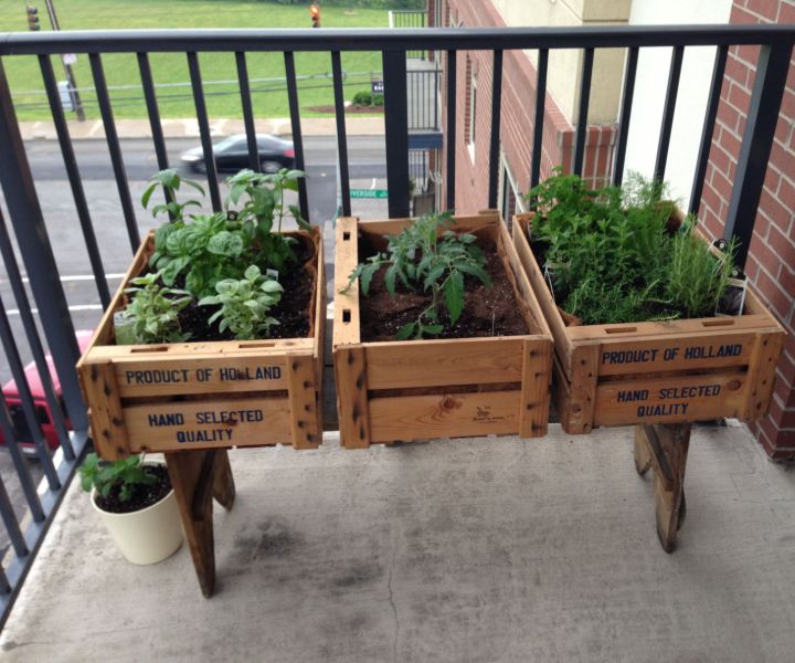 balcony garden ideas