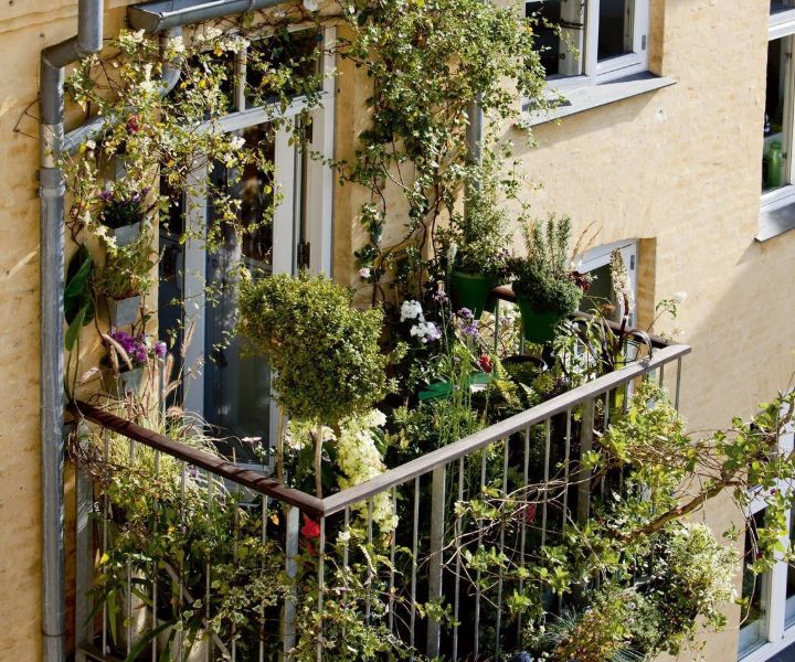 balcony garden pinterest