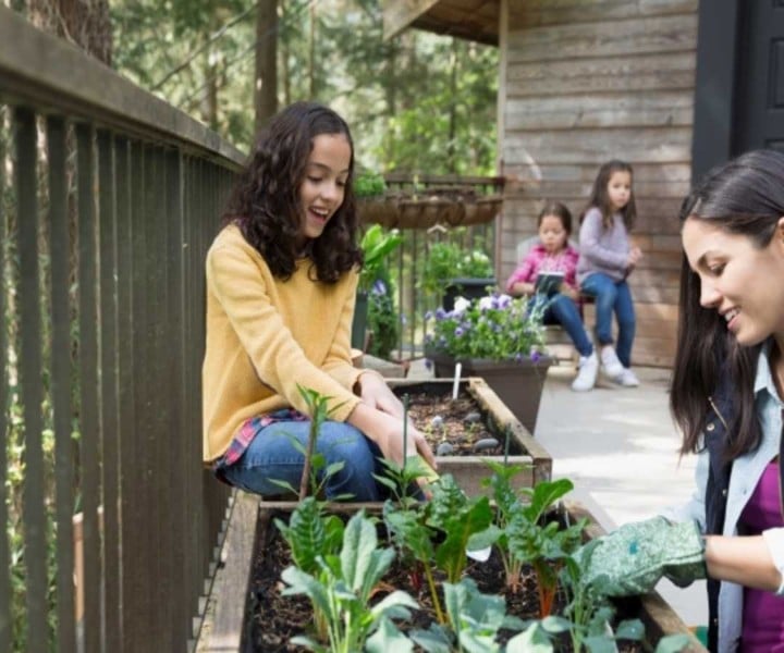 balcony garden tips