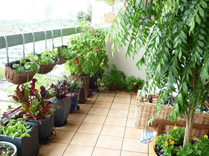 balcony garden vegetables