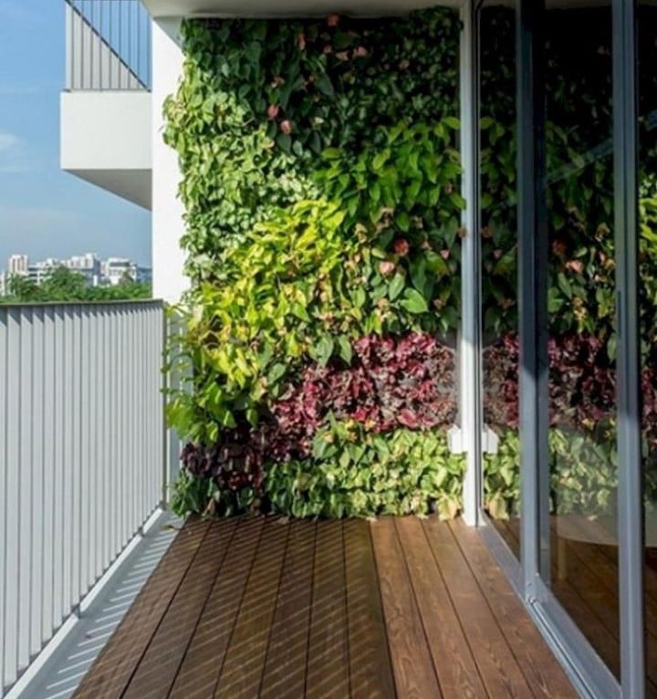 balcony garden wall