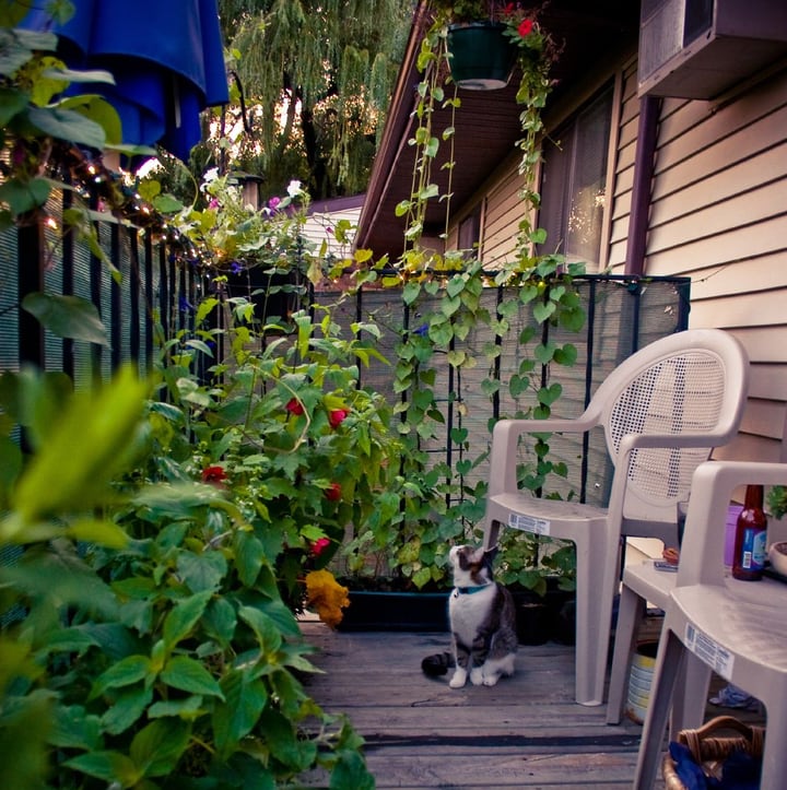 balcony garden with chair