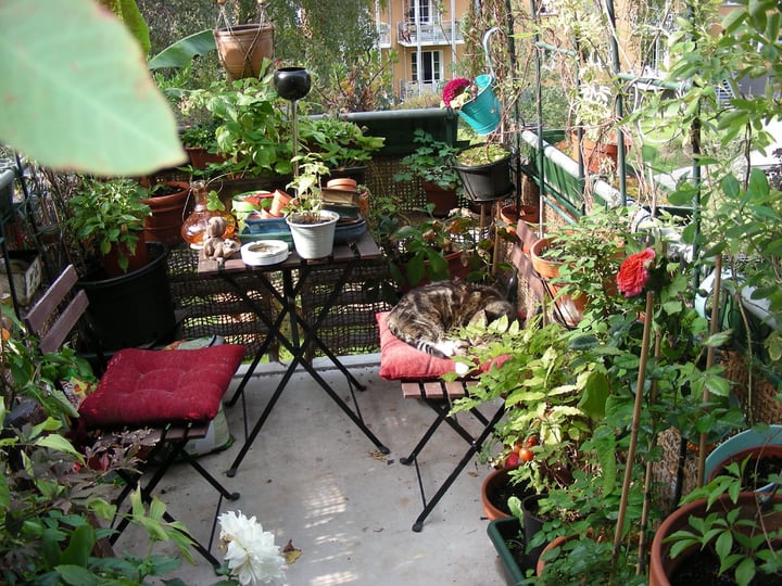 balcony garden with furniture