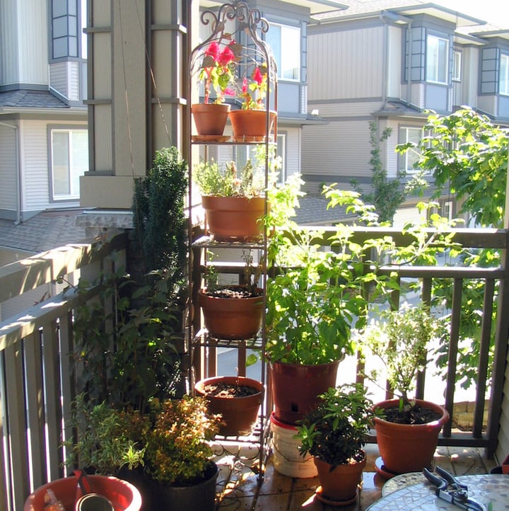 balcón jardín