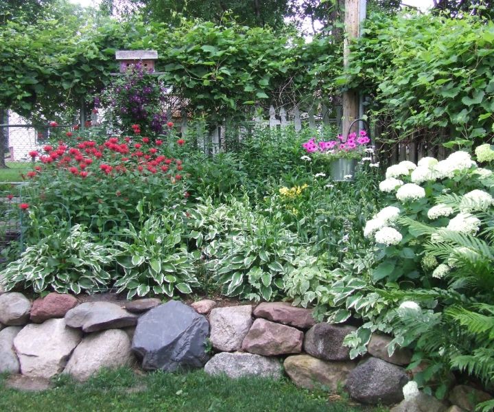 bee balm garden design