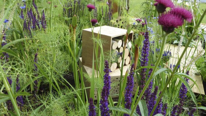 bee friendly garden uk