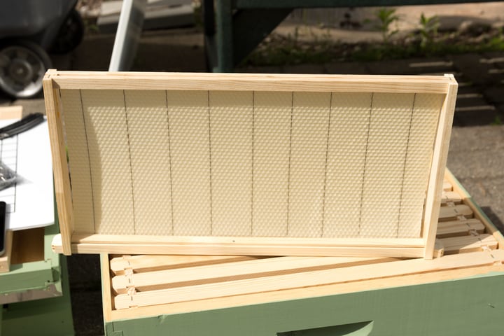 bee hive frame with foundation