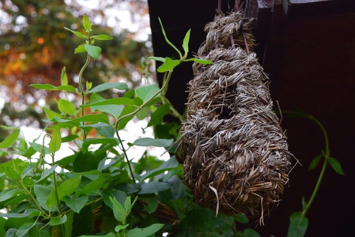 bee hotel n the garden