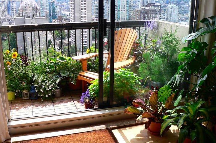 jardín de balcón floreciente bajo pleno sol - Excelentes ideas para jardines en balcón