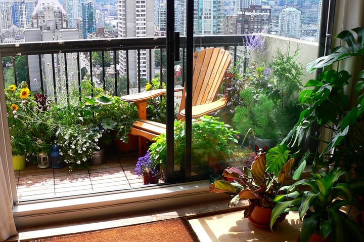 blooming balcony garden under full sunshine