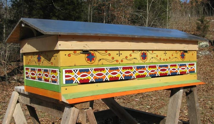 colorful horizontal hive